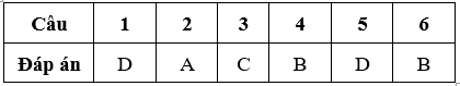 Bài tập cuối tuần Toán lớp 5 Tuần 15 có đáp án (Đề 2) | Đề kiểm tra cuối tuần Toán 5 có đáp án