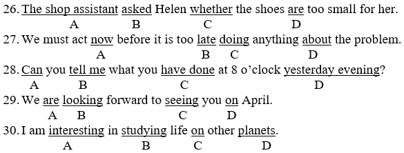 Đề thi Tiếng Anh lớp 8 mới Học kì 2 có đáp án (Đề 1)