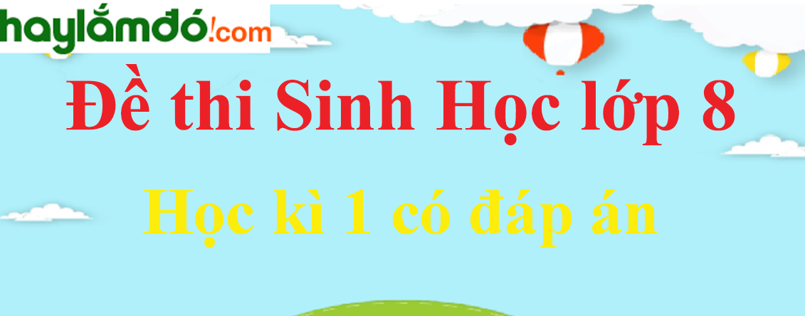 [Năm 2024] Đề thi Học kì 1 Sinh học lớp 8 có đáp án (6 đề)