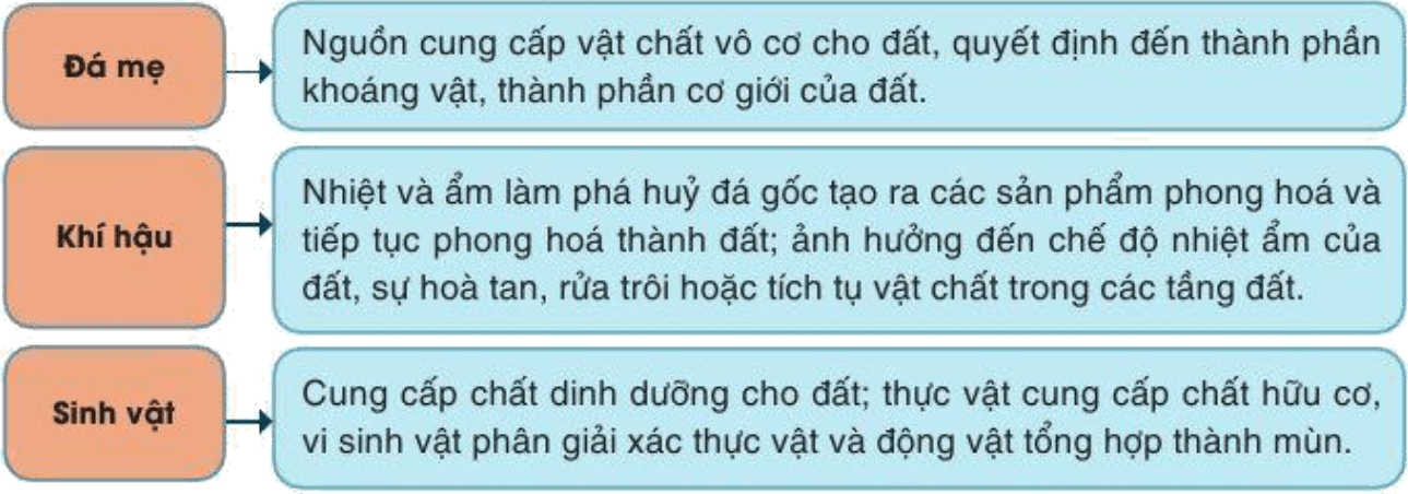 Lý thuyết Địa Lí 10 Cánh diều Bài 12: Đất và sinh quyển (ảnh 1)