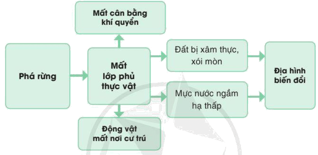 Lý thuyết Địa Lí 10 Cánh diều Bài 14: Vỏ địa lí. Quy luật thống nhất và hoàn chỉnh (ảnh 3)