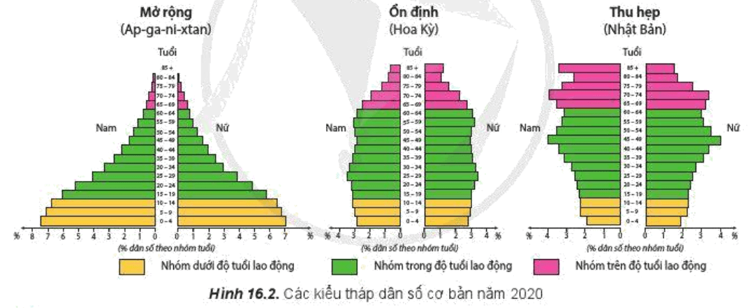 Lý thuyết Địa Lí 10 Cánh diều Bài 16: Dân số và gia tăng dân số. Cơ cấu dân số (ảnh 2)