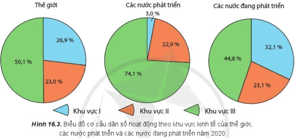 Lý thuyết Địa Lí 10 Cánh diều Bài 16: Dân số và gia tăng dân số. Cơ cấu dân số (ảnh 3)