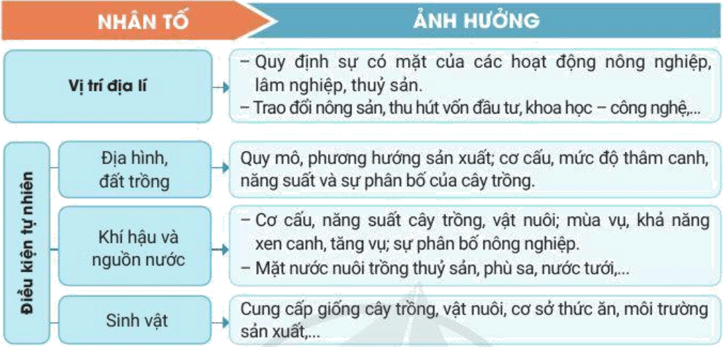 Lý thuyết Địa Lí 10 Cánh diều Bài 20: Vai trò, đặc điểm, các nhân tố ảnh hưởng đến sự phát triển và phân bố nông nghiệp, lâm nghiệp, thuỷ sản (ảnh 1)