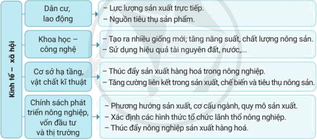 Lý thuyết Địa Lí 10 Cánh diều Bài 20: Vai trò, đặc điểm, các nhân tố ảnh hưởng đến sự phát triển và phân bố nông nghiệp, lâm nghiệp, thuỷ sản (ảnh 2)