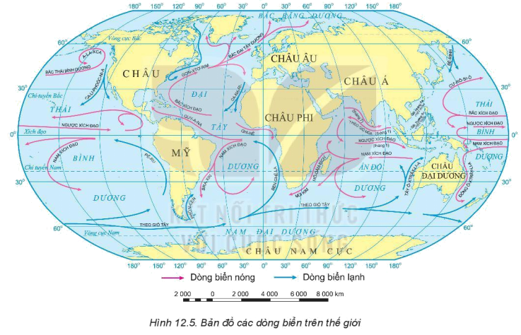 Dựa vào thông tin trong mục c, hình 12.5, hãy Trình bày chuyển động của các dòng biển trong đại dương