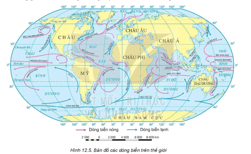 Lý thuyết Địa Lí 10 Kết nối tri thức Bài 12: Nước biển và đại dương