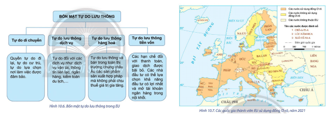 Dựa vào hình 10.6, hình 10.7 và thông tin trong bài, hãy phân tích một số biểu hiện của hợp tác