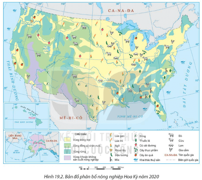 Dựa vào thông tin mục 1 và hình 19.2 hãy trình bày sự phát triển và phân bố của ngành nông nghiệp, lâm nghiệp và thủy sản Hoa Kỳ