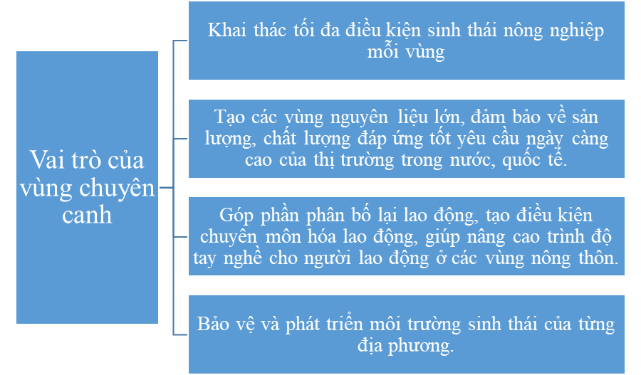 Hãy vẽ sơ đồ khái quát vai trò của vùng chuyên canh đối với kinh tế - xã hội