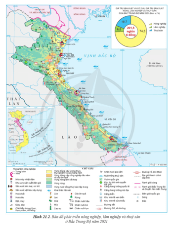 Lý thuyết Địa Lí 12 Bài 21: Phát triển nông nghiệp, lâm nghiệp và thuỷ sản ở Bắc Trung Bộ | Cánh diều