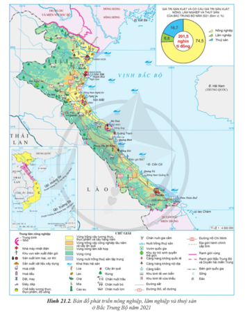 Lý thuyết Địa Lí 12 Bài 21: Phát triển nông nghiệp, lâm nghiệp và thuỷ sản ở Bắc Trung Bộ | Cánh diều