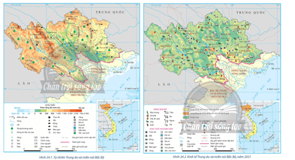 Dựa vào hình 24.1, 24.2, và thông tin trong bài, hãy: Chứng minh vùng Trung du và miền núi Bắc Bộ có thế mạnh về cây trồng 