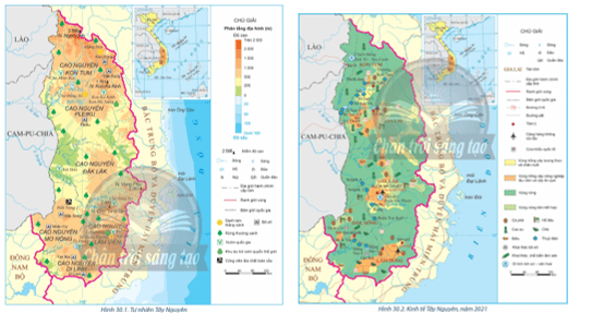 Dựa vào hình 30.1, 30.2 và thông tin trong bài, hãy: Phân tích các thế mạnh và hạn chế đối với phát triển lâm nghiệp 