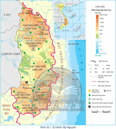 Lý thuyết Địa Lí 12 Bài 30: Khai thác thế mạnh để phát triển kinh tế ở Tây Nguyên | Chân trời sáng tạo