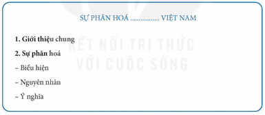 Địa Lí 12 Bài 4: Thực hành: Viết báo cáo về sự phân hóa tự nhiên Việt Nam - Kết nối tri thức