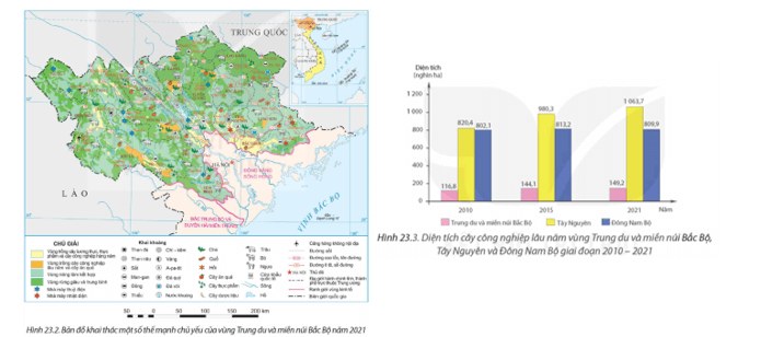 Dựa vào thông tin mục 3 và hình 23.2, 23.3 hãy: Chứng minh thế mạnh để phát triển cây trồng có nguồn gốc cận nhiệt 