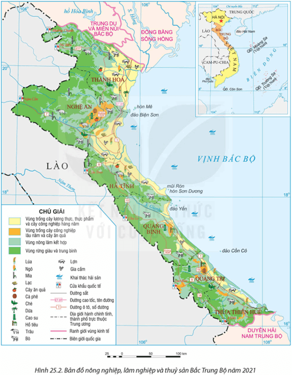 Lý thuyết Địa Lí 12 Bài 25: Phát triển nông nghiệp, lâm nghiệp và thuỷ sản ở Bắc Trung Bộ | Kết nối tri thức