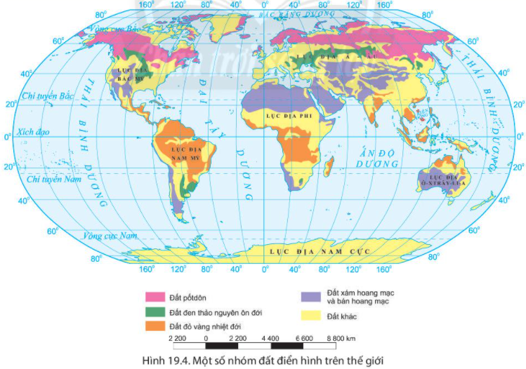 Lý thuyết Địa Lí 6 Bài 19: Lớp đất và các nhân tố hình thành đất. Một số nhóm đất điển hình | Chân trời sáng tạo