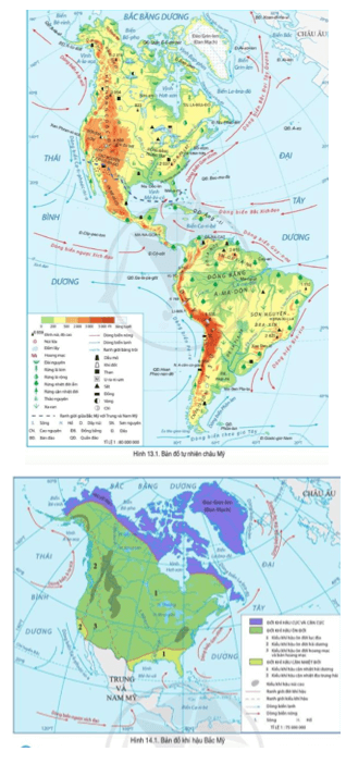 Đọc thông tin và quan sát hình 13.1, 14.1, hãy cho biết Bắc Mỹ có những đới thiên nhiên nào
