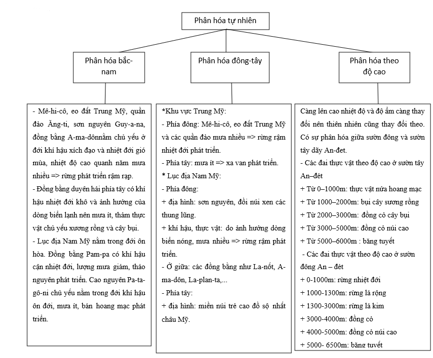 Hãy lập sơ đồ khái quát về sự phân hóa tự nhiên theo chiều bắc-nam