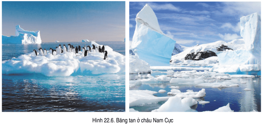 Lý thuyết Địa Lí 7 Cánh diều Bài 22: Châu Nam Cực