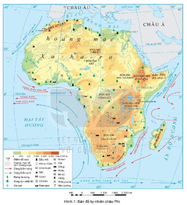 Dựa vào thông tin trong mục 1 và hình 1, hãy cho biết: Hình dạng, kích thước châu Phi