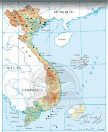 Dựa vào hình 4.1, kiến thức đã học và thông tin trong bài, em hãy Trình bày những đặc điểm chung