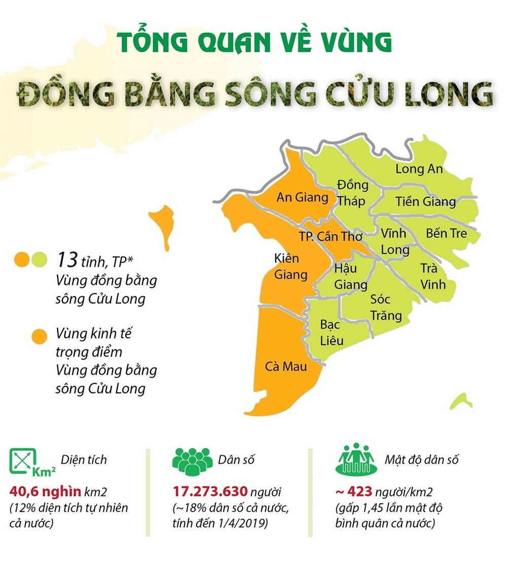 Lý thuyết Địa Lí 8 Chân trời sáng tạo Bài 2: Đặc điểm địa hình