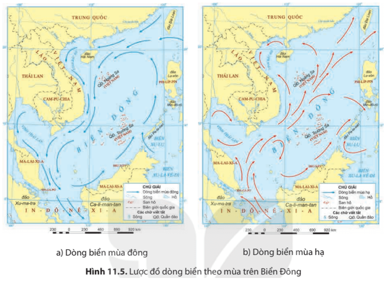 Dựa vào thông tin mục 3 hình 11.5 và kiến thức đã học em hãy trình bày đặc điểm địa hình