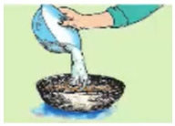 Công nghệ 7 Bài 17: Thực Hành : Xử lí hạt giống bằng nước ấm | Giải bài tập Công nghệ lớp 7