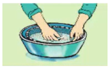 Công nghệ 7 Bài 17: Thực Hành : Xử lí hạt giống bằng nước ấm | Giải bài tập Công nghệ lớp 7