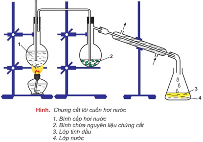 Giải bài tập Hóa 11 nâng cao | Để học tốt Hóa 11 nâng cao