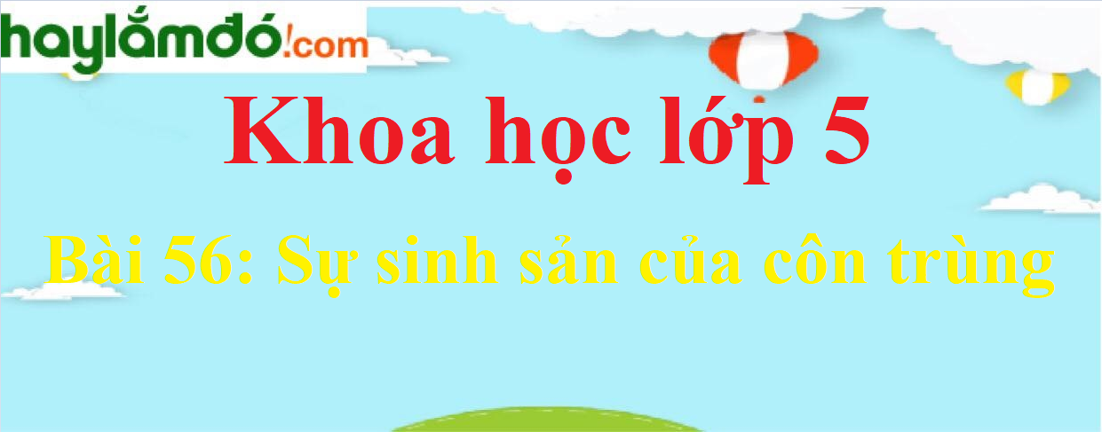 Giải Khoa học lớp 5 Bài 56: Sự sinh sản của côn trùng