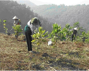 Bài 68: Một số biện pháp bảo vệ môi trường