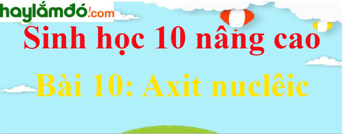 Sinh học 10 nâng cao Bài 10: Axit nuclêic