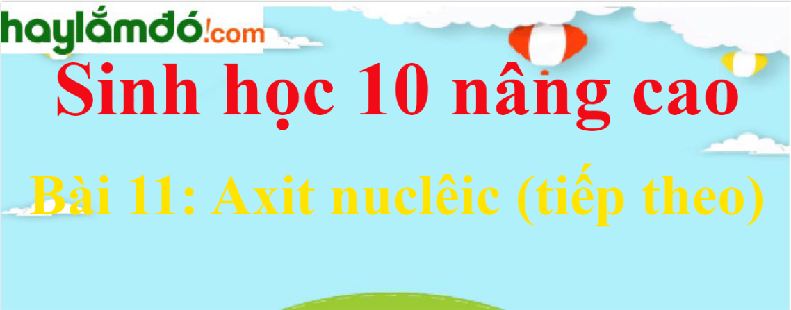 Sinh học 10 nâng cao Bài 11: Axit nuclêic (tiếp theo)
