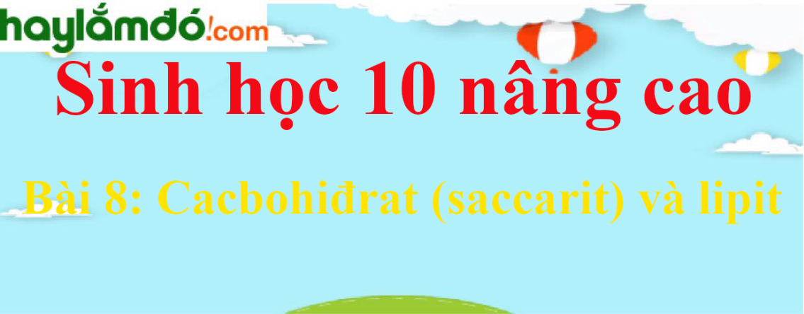 Sinh học 10 nâng cao Bài 8: Cacbohiđrat (saccarit) và lipit