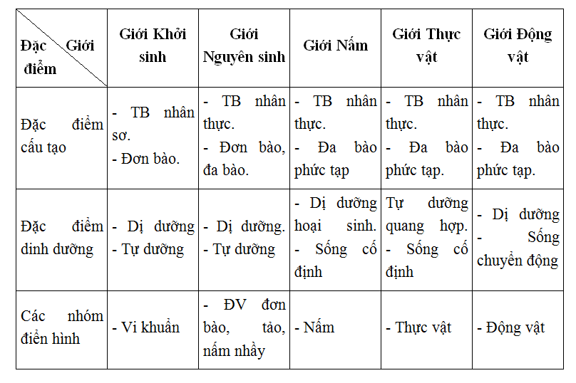 Trả lời câu hỏi Sinh 10 nâng cao Bài 2 trang 10 