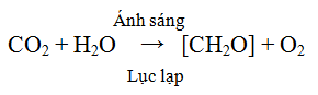 Trả lời câu hỏi Sinh 10 nâng cao Bài 26 trang 87 