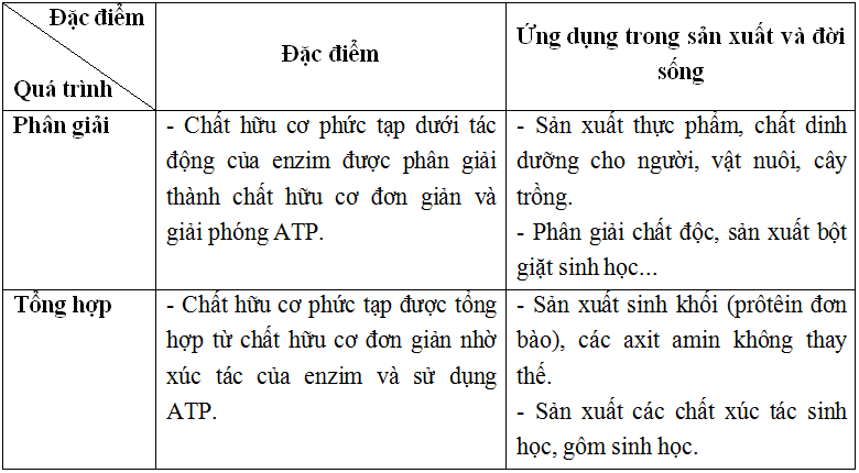 Trả lời câu hỏi Sinh 10 nâng cao Bài 48 trang 160 