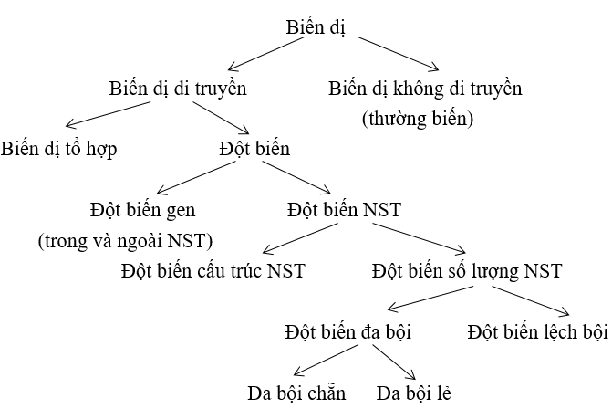 Bài 3 trang 123 sgk Sinh học 12 nâng cao 