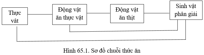 Bài 8 trang 269 sgk Sinh học 12 nâng cao 