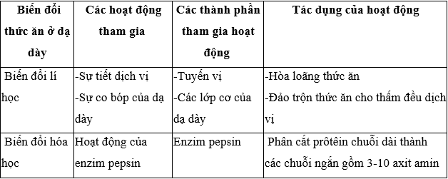 Lý thuyết Sinh học 8 Bài 27: Tiêu hóa ở dạ dày hay, ngắn gọn