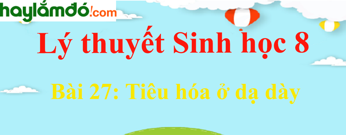 Lý thuyết Sinh học 8 Bài 27: Tiêu hóa ở dạ dày hay, ngắn gọn