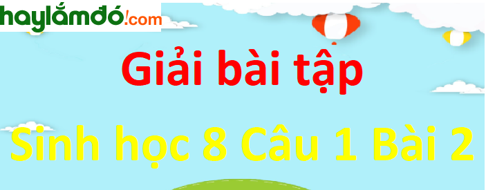 Quan sát hình 2-1 và 2-2, kết hợp với tự tìm hiểu bản thân, hãy trả lời các câu hỏi sau: Cơ thể người có mấy phần