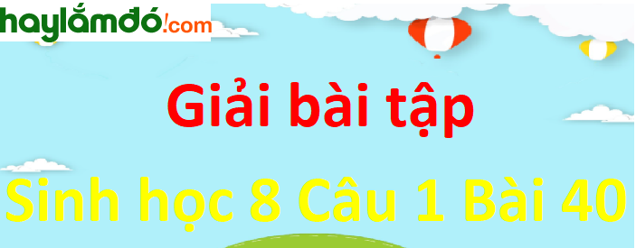 Khi các cầu thận bị viêm và suy thoái có thể dẫn đến những hậu quả nghiêm trọng như thế nào về sức khỏe