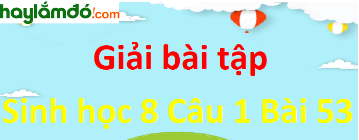 Hãy tìm ví dụ trong thực tiễn đời sống về sự thành lập các phản xạ mới và ức chế các phản xạ cũ không còn thích