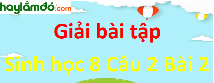 Hãy ghi tên các cơ quan có trong thành phần của mỗi hệ cơ quan và chức năng chính của mỗi hệ vào Bảng 2. Thành phần