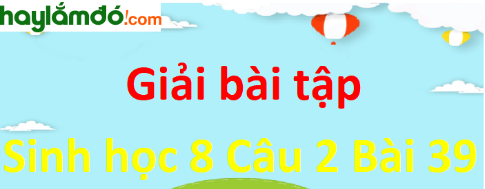 Sự tạo thành nước tiểu ở các đơn vị chức năng của thận diễn ra liên tục, nhưng sự thải nước tiểu ra khỏi cơ thể